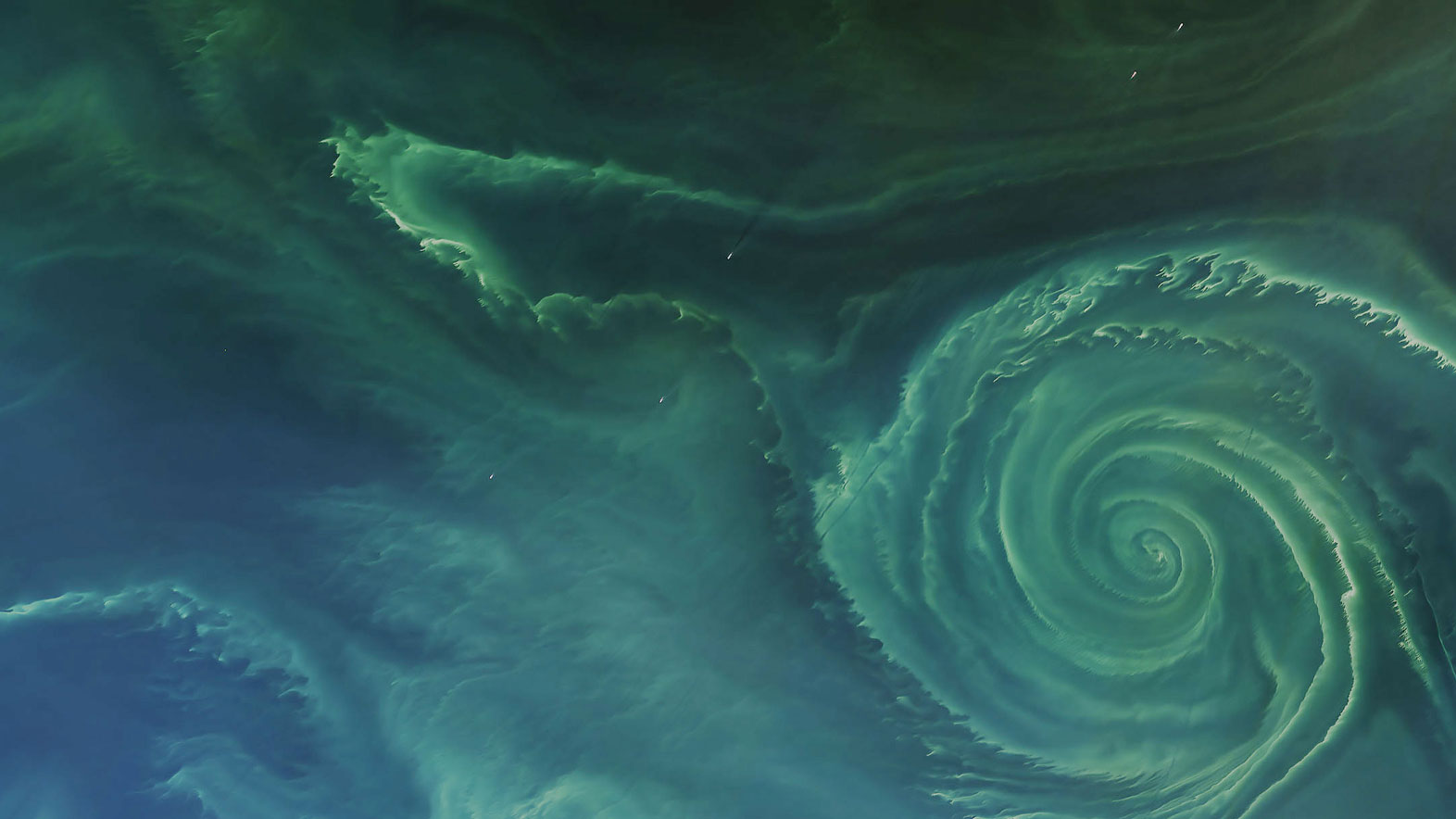 Earthmover is hiring