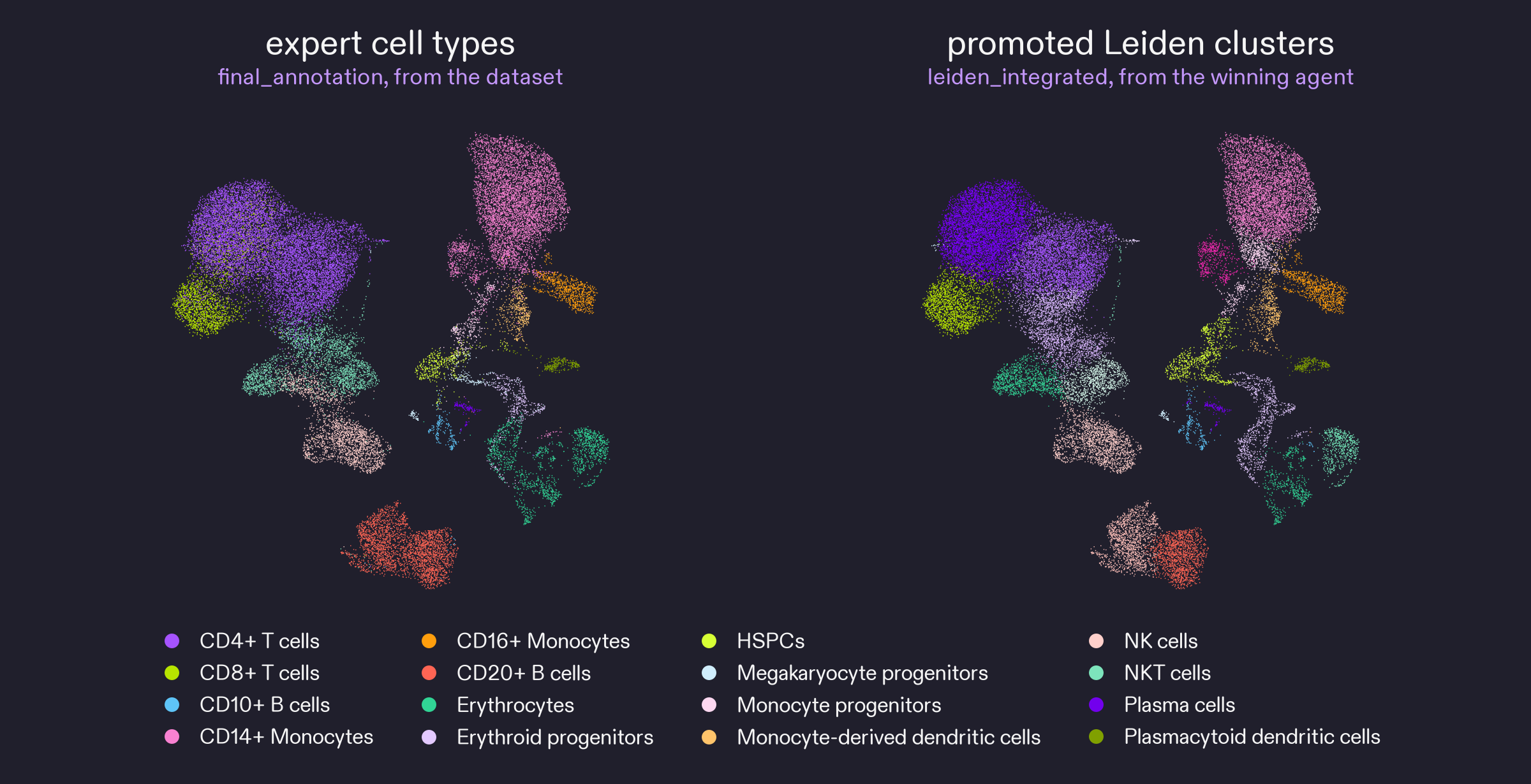 Two UMAP plots of all 32,484 cells in the scanvi embedding. Left: the 16 expert cell types from the dataset. Right: the 25 promoted Leiden clusters, each in the color of its most common cell type. The clusters follow the expert types closely; CD4+ T cells and CD14+ monocytes split into 4 clusters each.