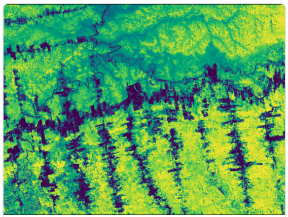 Sylvera Biomass Atlas sample — Pará, Brazil